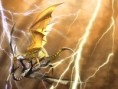 /album/galeria-de-fotos/dragons2-jpg/