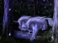 /album/galeria-de-fotos/unicornios-jpg/